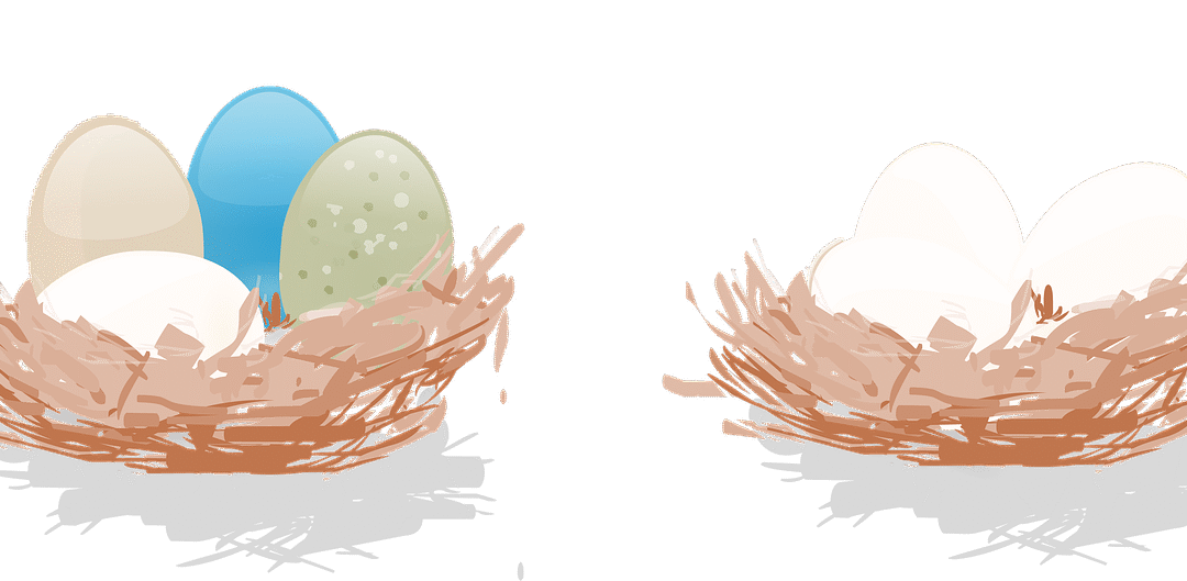 Découvrez le Plan Épargne Retraite proposé par Mon Petit Placement