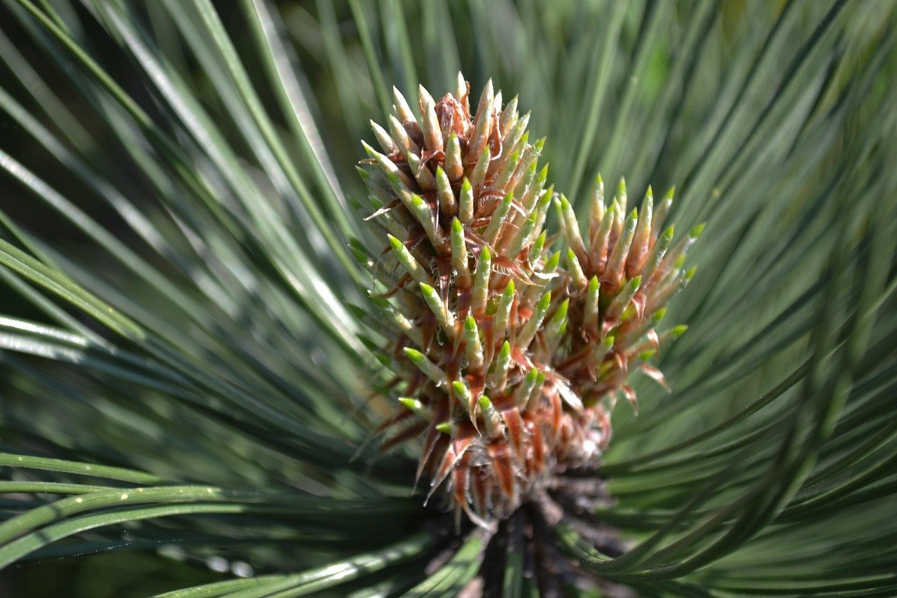 découvrez le meilleur moment pour souscrire à un plan d'épargne retraite et maximisez vos économies pour un avenir financier serein.