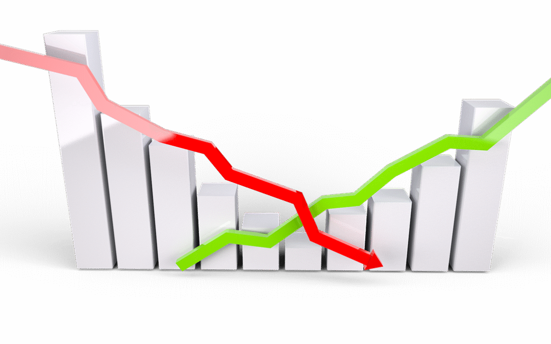 Investir : Les clés pour bien placer votre argent et comprendre les enjeux