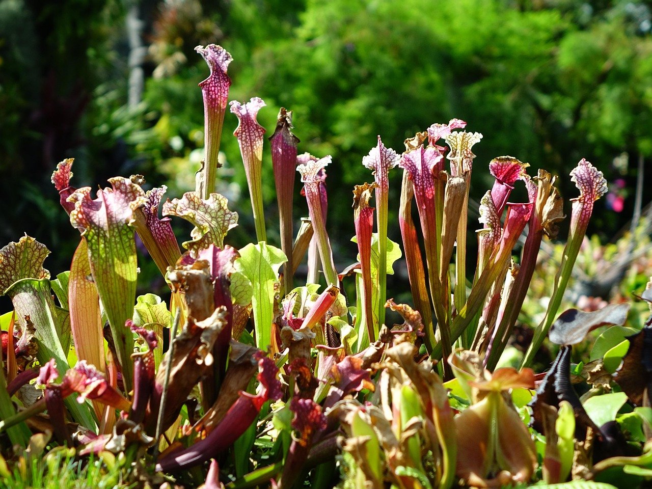 découvrez les pièges courants de l'assurance vie et comment les éviter pour protéger au mieux vos proches et votre patrimoine.