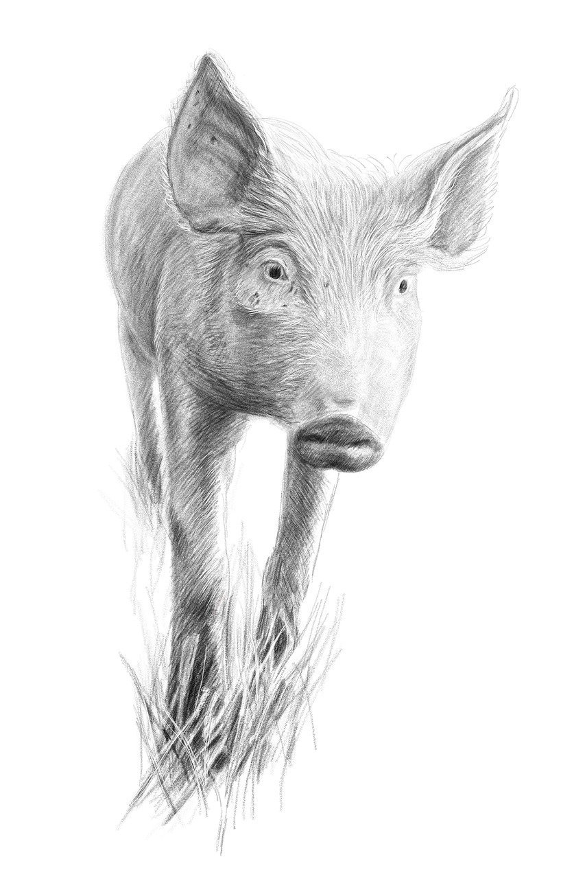 découvrez tout ce que vous devez savoir sur la taxation du per (plan d'épargne retraite), ses avantages fiscaux et comment optimiser votre épargne retraite.