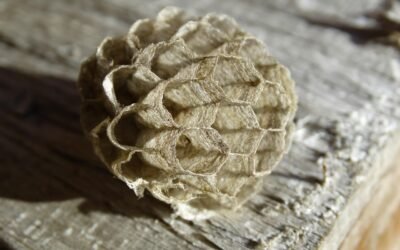 Décryptage des Produits Structurés : Qu’est-ce que c’est et comment fonctionnent-ils ?