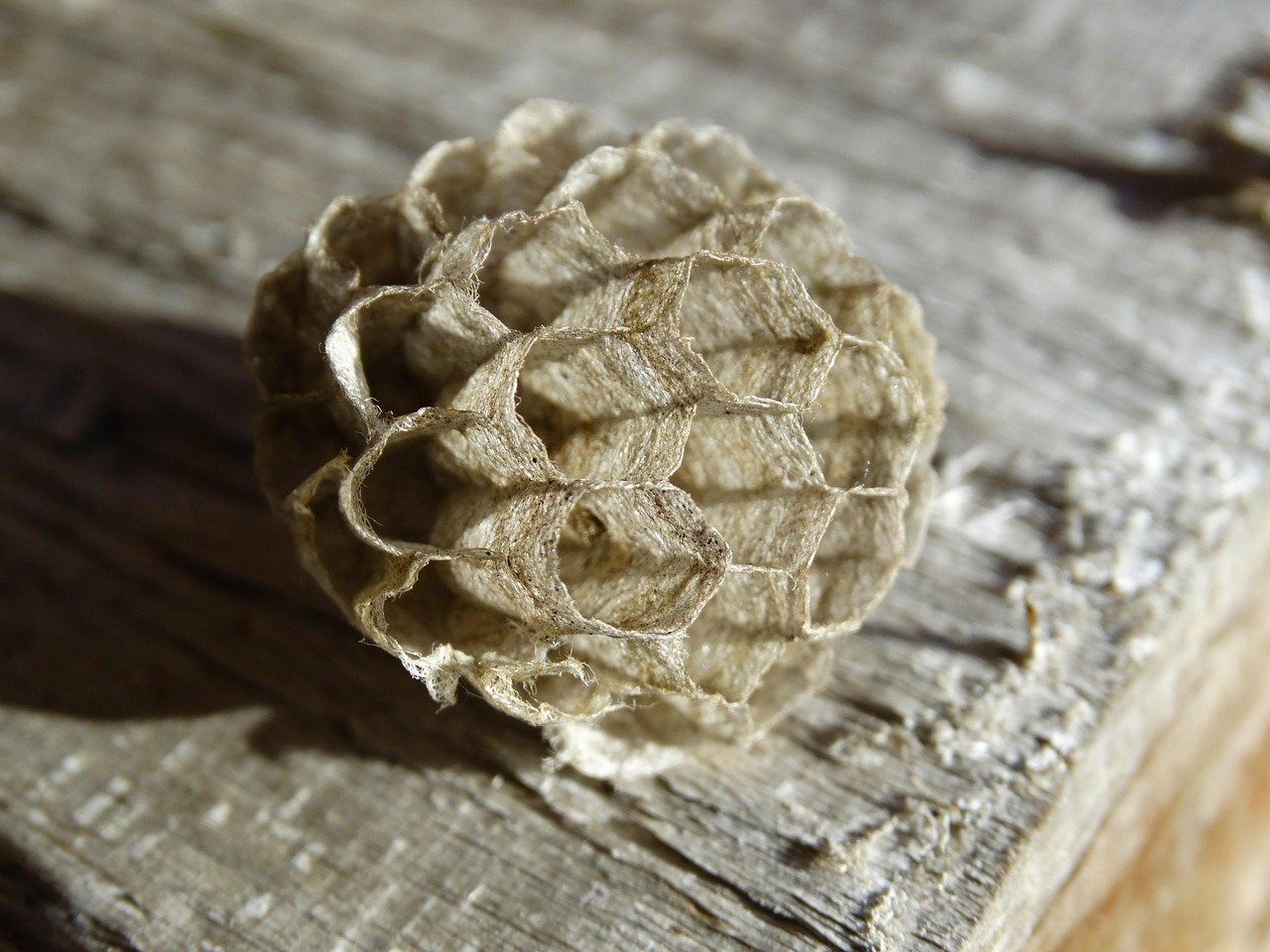 structured products découvrez les produits structurés : des solutions d'investissement personnalisées alliant sécurité, performance et diversification pour optimiser votre portefeuille.