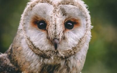 Comment investir judicieusement 100 000 euros ?