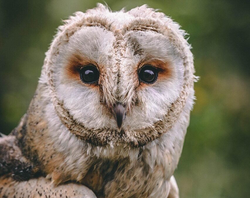 Comment investir judicieusement 100 000 euros ?