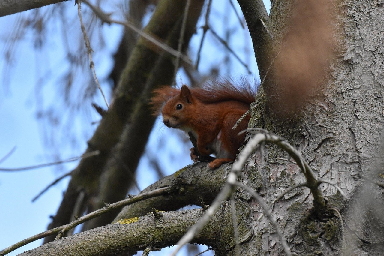 découvrez comment un pivot stratégique agile permet à votre entreprise de s'adapter rapidement aux changements du marché et d'optimiser ses performances.