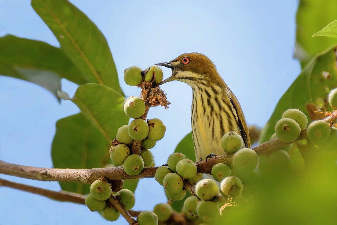consultez les résultats fdj en temps réel et suivez les derniers tirages pour vos jeux de loterie favoris.