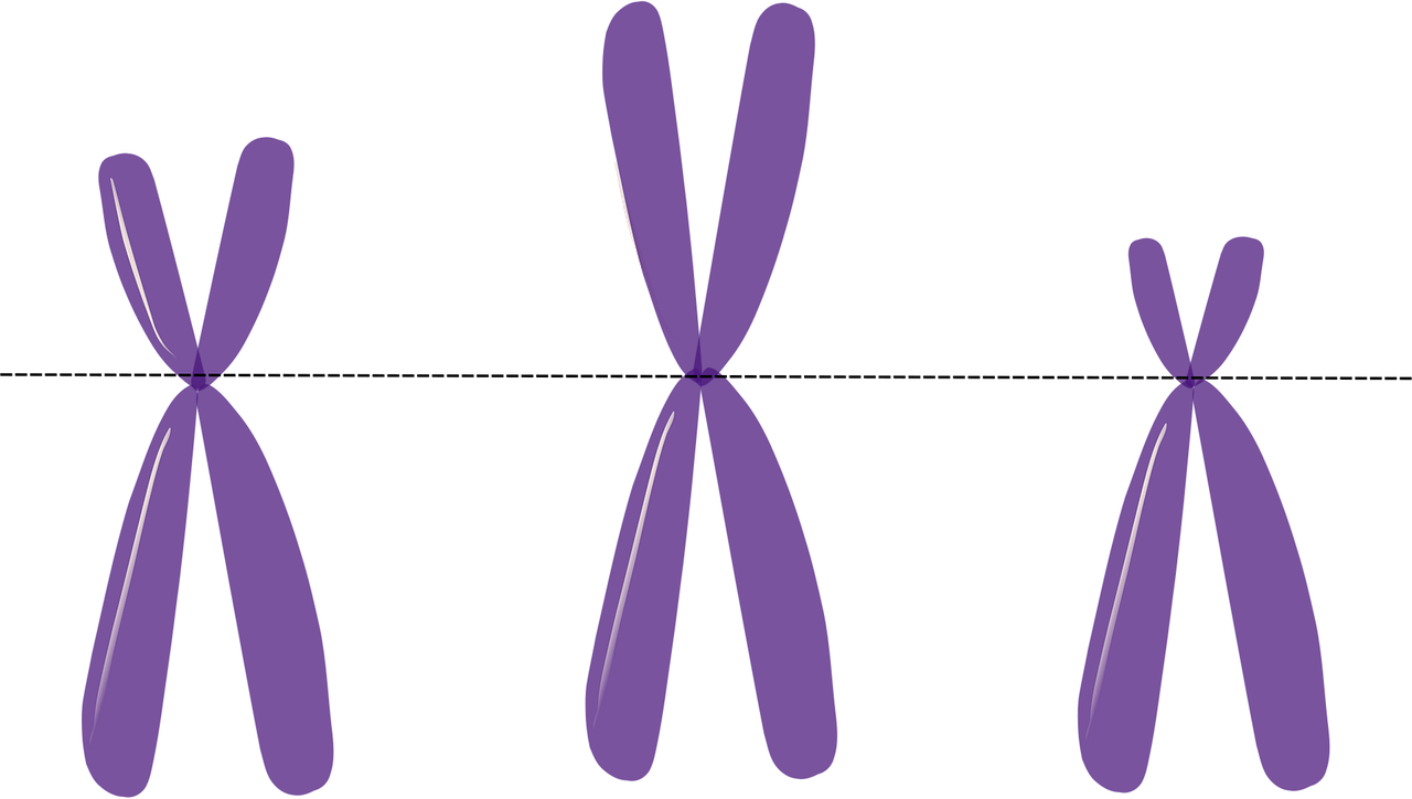 découvrez tout sur l'héritage : définition, types, règles légales et conseils pratiques pour gérer une succession en toute sérénité.