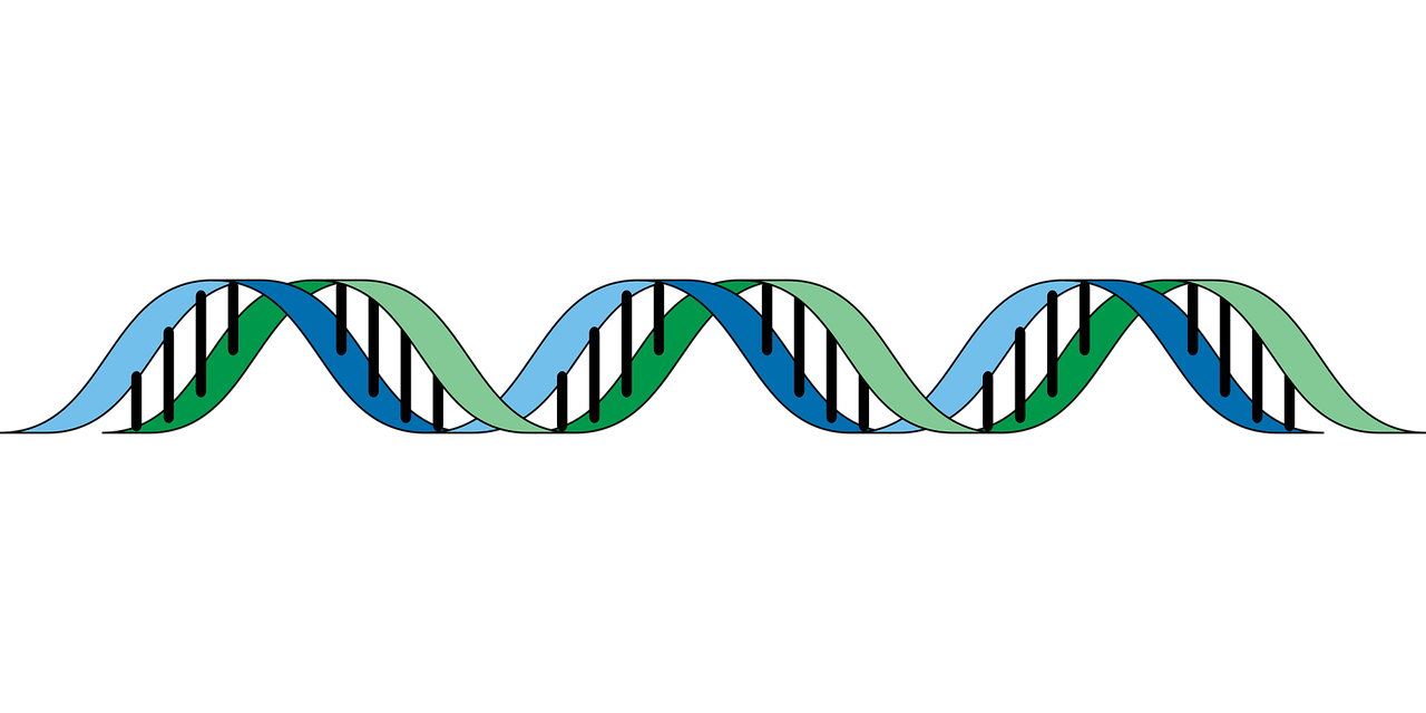 découvrez tout sur l'héritage : principes, démarches légales, conseils pour optimiser la transmission de patrimoine en toute sérénité.