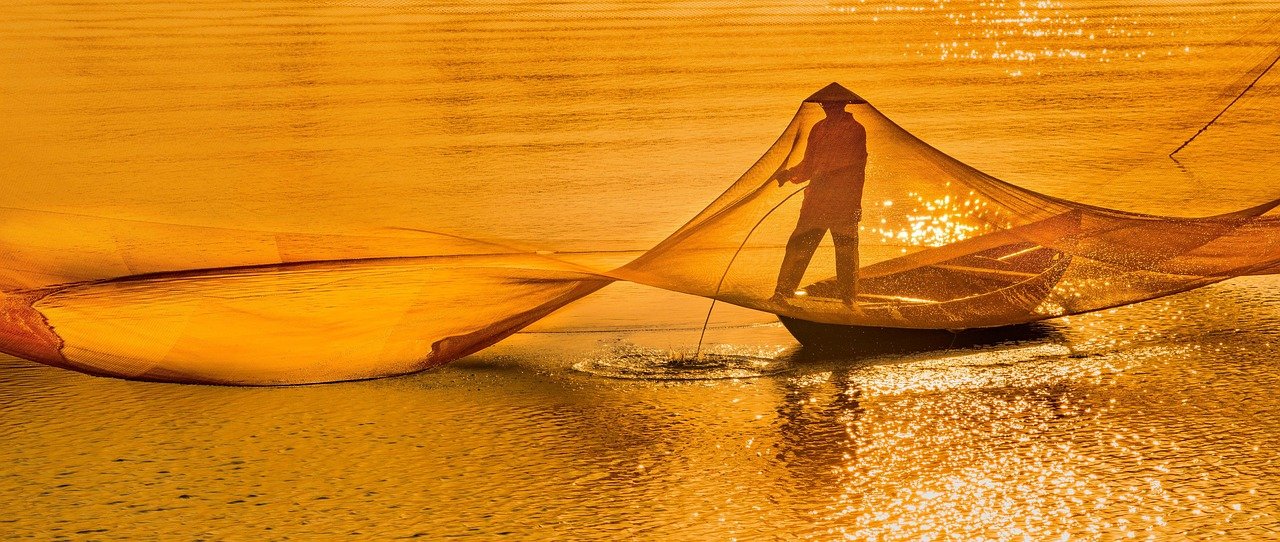 découvrez comment calculer le salaire net, comprendre les déductions et optimiser votre revenu après impôts et cotisations sociales.