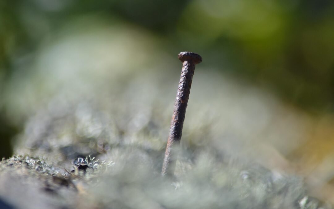 Salaire de 2400 € brut : quel est le net réel pour cadre et non-cadre ?