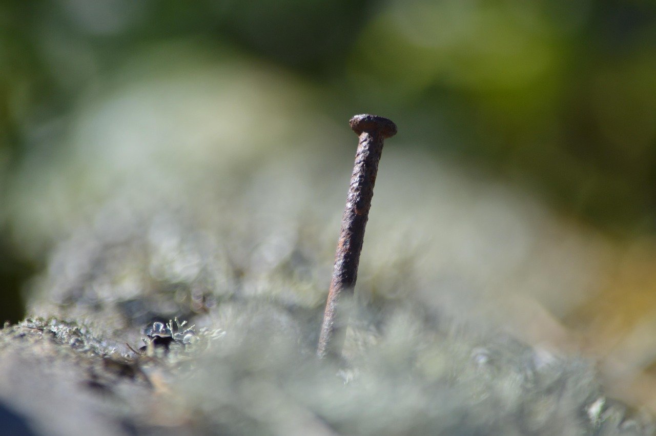 calculez facilement votre salaire net à partir de votre salaire brut grâce à notre outil simple et précis, en tenant compte des cotisations et impôts applicables.