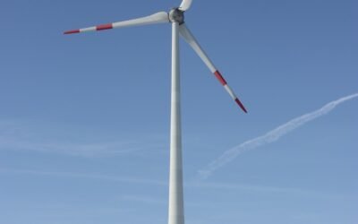 Préserver notre planète : enjeux et solutions pour un avenir durable