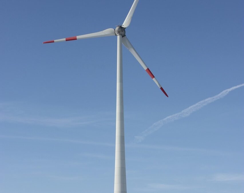 Préserver notre planète : enjeux et solutions pour un avenir durable