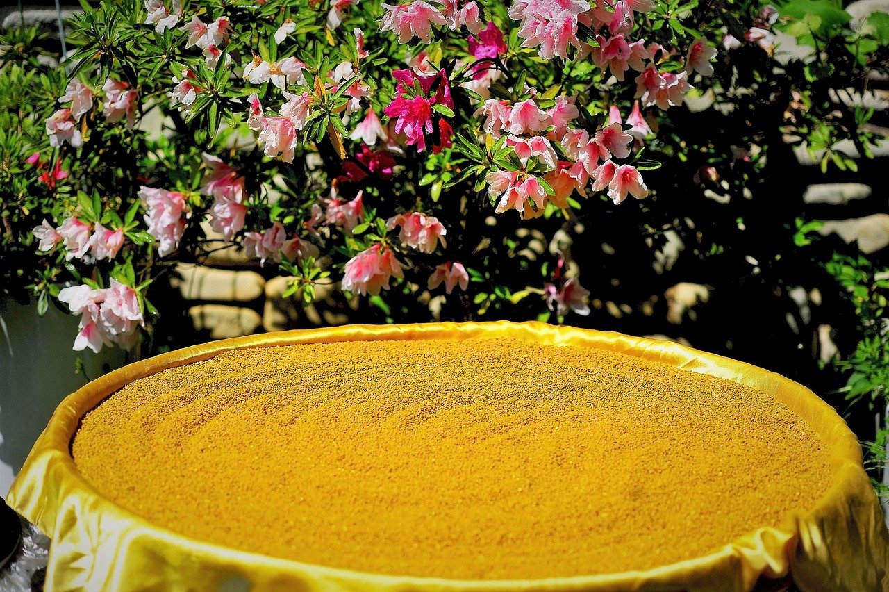 découvrez des conseils et astuces pour améliorer votre bien-être au quotidien, en prenant soin de votre corps et de votre esprit.