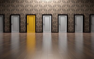 Opportunités de carrière : Explorer le marché de l’emploi