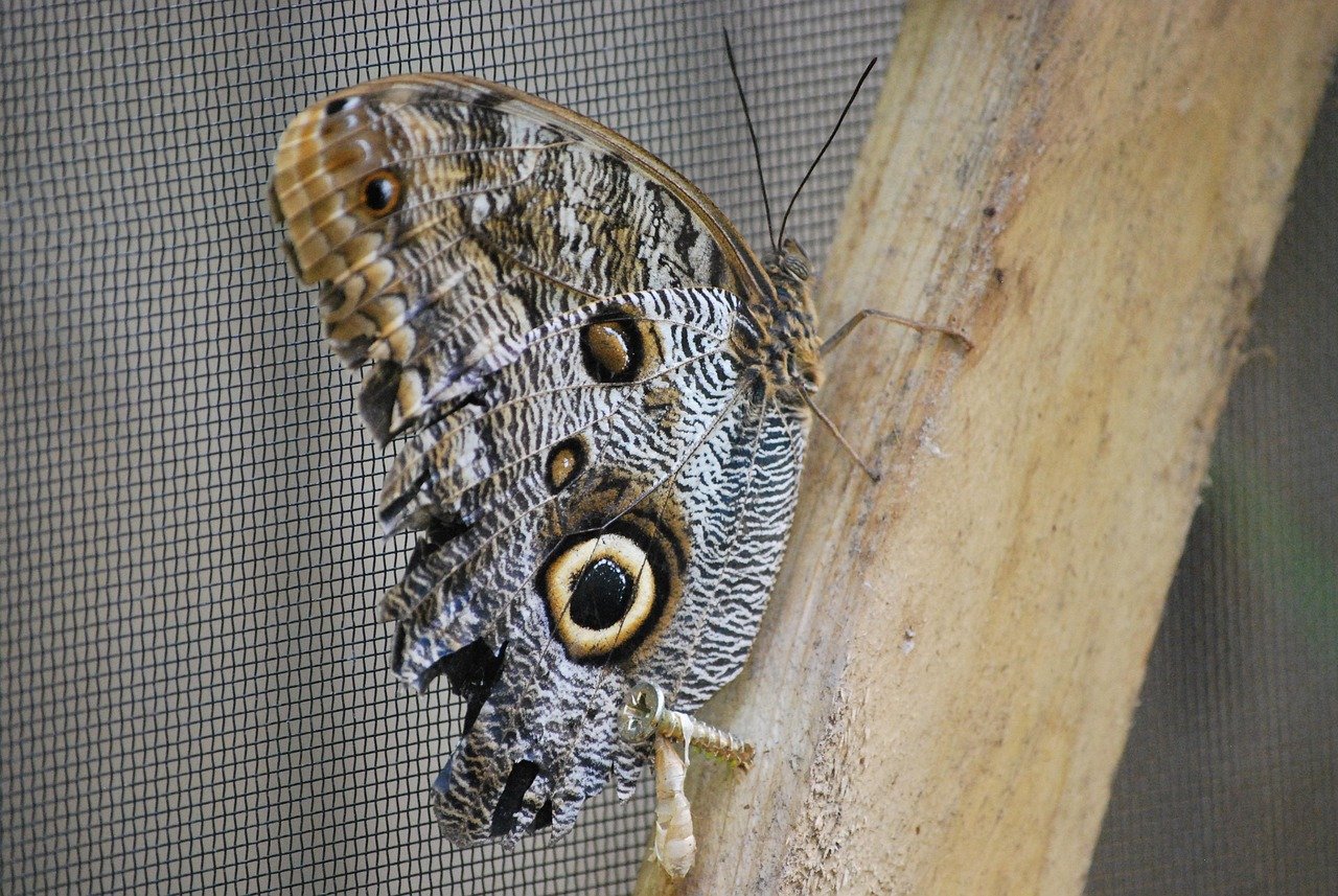 découvrez comment convertir facilement les salaires entre différentes devises et unités pour une meilleure compréhension de votre rémunération.