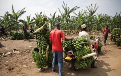 Trade Republic : Fiabilité et pertinence pour un investissement régulier