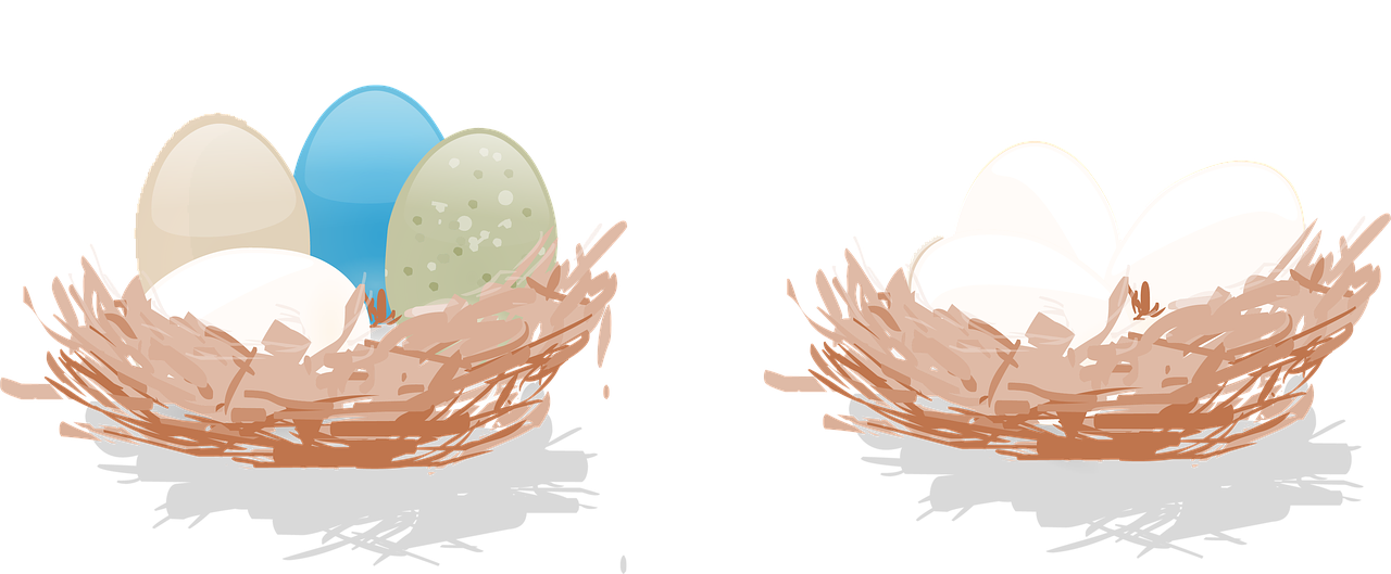 découvrez des conseils essentiels sur la planification de la retraite pour les femmes entrepreneures afin d'assurer un avenir financier serein et prospère.