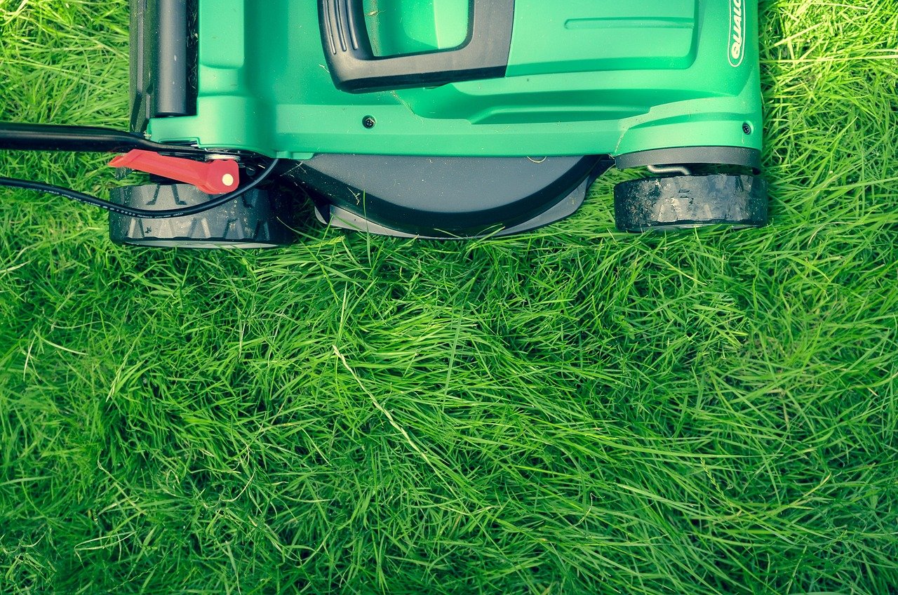 service de tonte de pelouse professionnel pour un jardin impeccable et bien entretenu toute l'année.