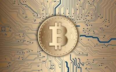 Crypto Bubbles : Un outil incontournable pour maîtriser la volatilité des marchés cryptographiques ?