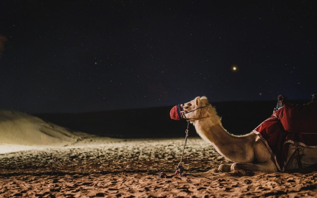 Dubai en turbulence : quand l’eldorado vacille