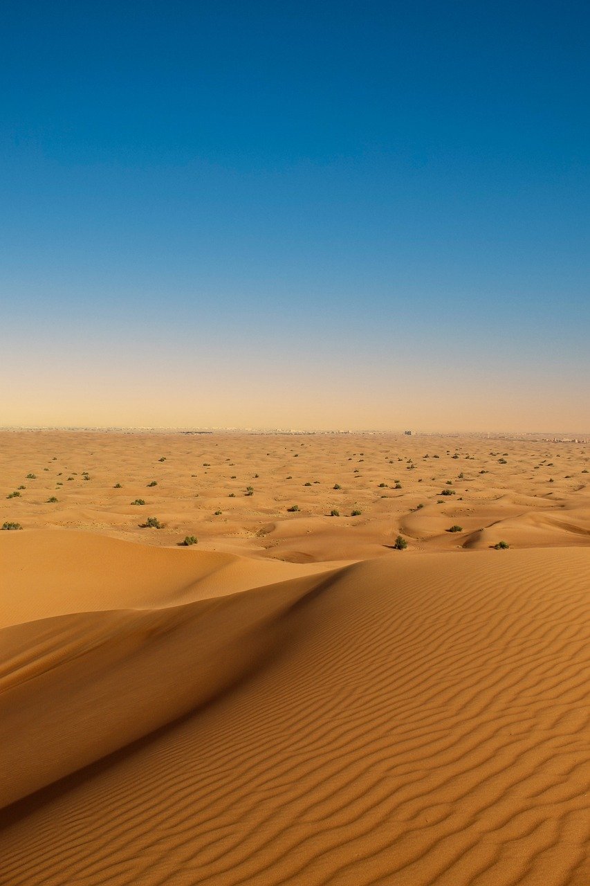 découvrez les causes et les impacts de la crise actuelle à dubaï, une analyse complète des défis économiques et sociaux de la région.