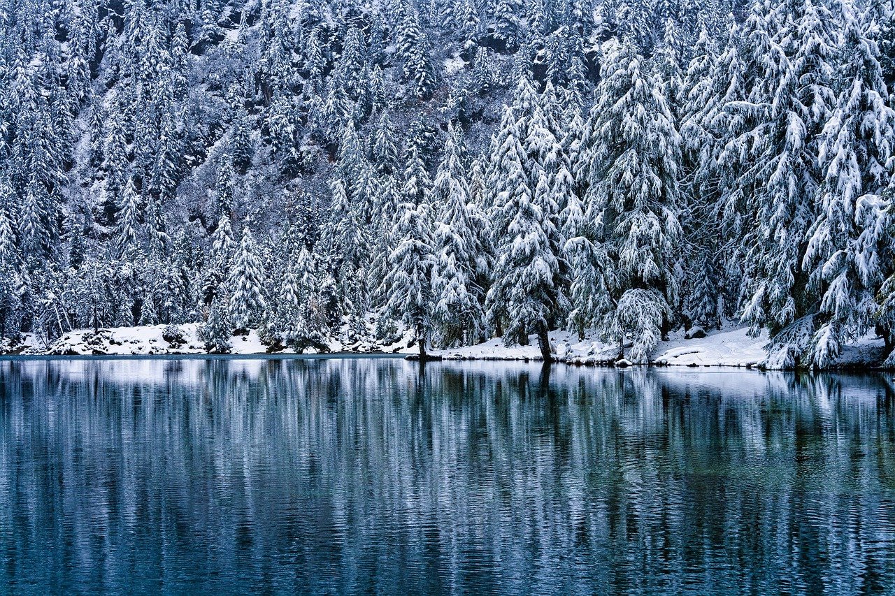 découvrez les avantages d'investir en suisse, un pays stable et prospère offrant un environnement économique favorable et des opportunités uniques pour les investisseurs.