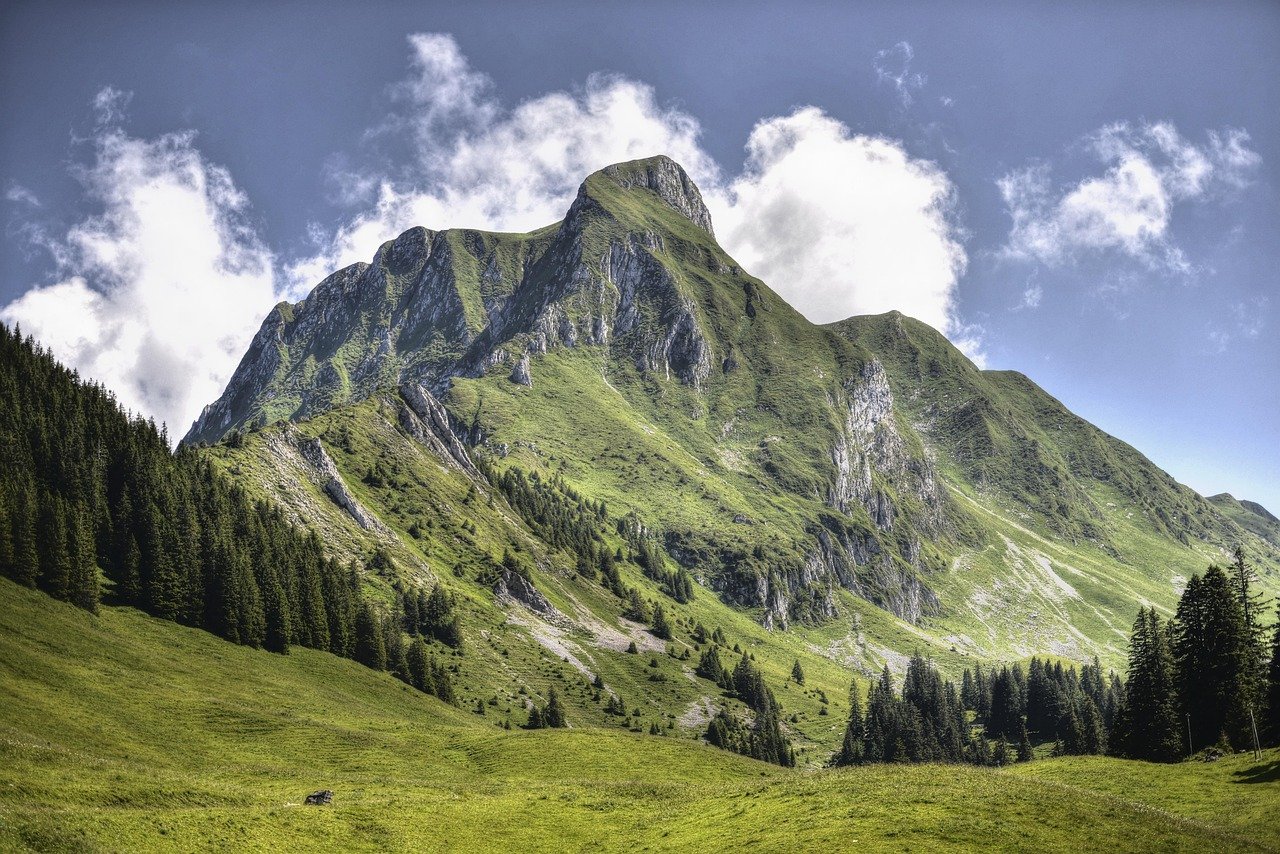 découvrez les opportunités d'investissement en suisse, un pays stable et attractif offrant un environnement économique favorable et des secteurs porteurs pour optimiser votre portefeuille.